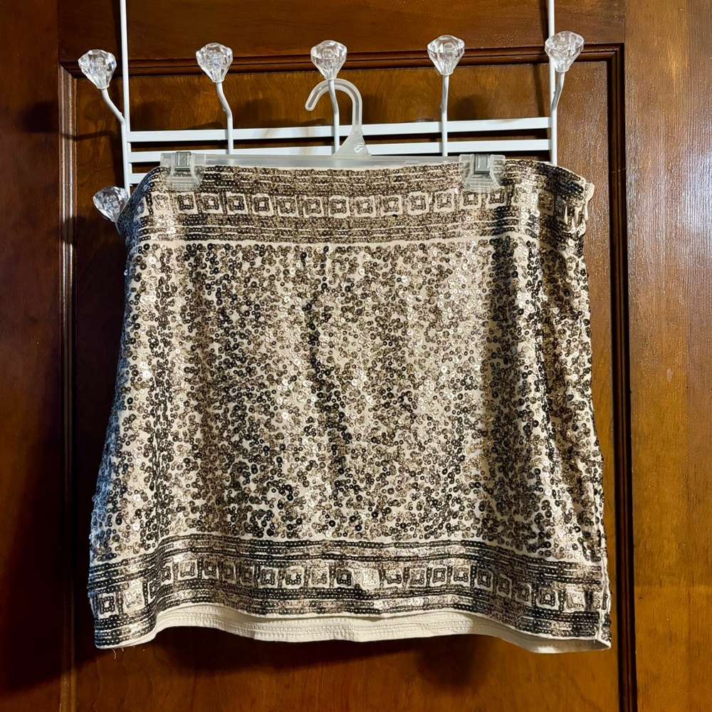 Express skirt